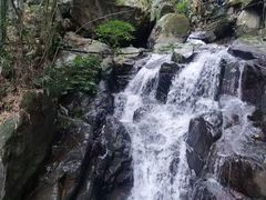 -藏龙百瀑风景区