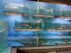 水产区-天怡·鱼工厂(临江店)