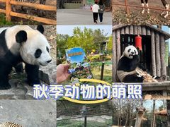 -大连森林动物园