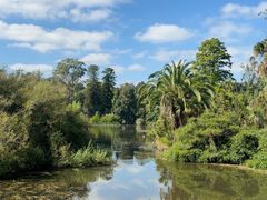-墨尔本皇家植物园