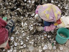 -蚝乡农庄(铁涌赤岸店)