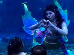 -华夏文旅海洋公园