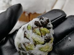 -塔云山