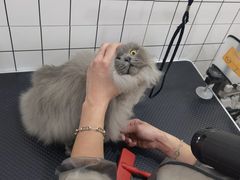 -猫力发电所·宠物专门店