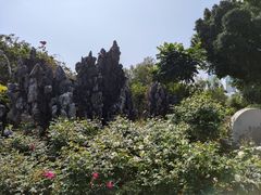 -人民公园(罗湖区)