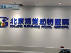 -北京观赏动物医院·24小时大型综合·猫专科·异宠专科
