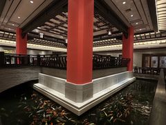 -龙悦湾酒家·八阵鱼生·渔人码头店