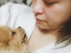 -彩虹桥宠物火化殡葬善终服务(金乐大厦店)