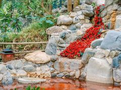 -湖泉半山温泉(湖泉生态园)