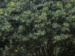 -汉水公园