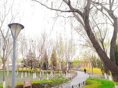 -大兴滨河森林公园