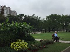-新江湾城公园