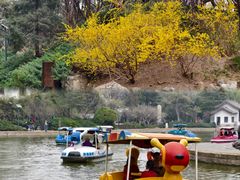-团结湖公园