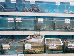 水产区-秋姐美食店(旅游大道店)