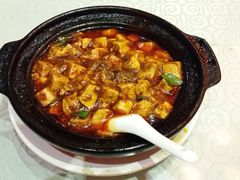 -陈麻婆豆腐总店