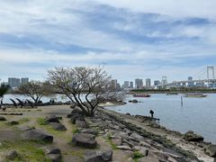 -台场海滨公园船码头