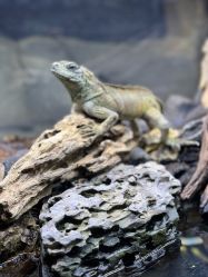 -Zoolung Zoolung动物主题公园(海信广场店)