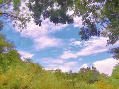 -白马涧龙池景区
