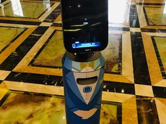 -碧桂园凤凰城酒店(南京店)