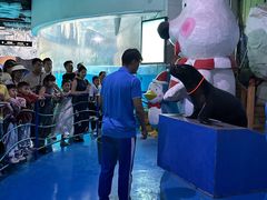 -泉城欧乐堡海洋极地世界