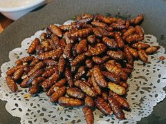 -虾饺妹·酒家(海珠广场店)