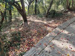 -宝通禅寺