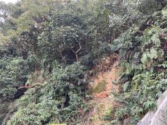 -梧桐山风景名胜区