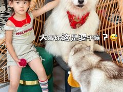 -星多哈·狗咖·拼豆·咖啡