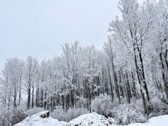 -太子岭滑雪场