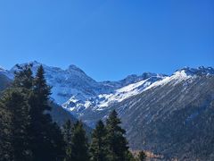 -黄龙山原始森林景区
