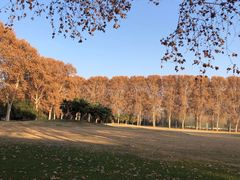 -河南省黄河迎宾馆