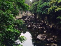 -龙头岩(Dragon Head Rock)