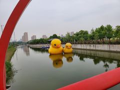 -菊园百果园