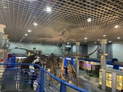 -国家自然博物馆