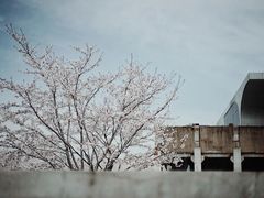 -龙美术馆西岸馆-停车场