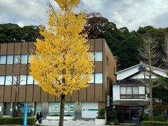 -金泽21世纪美术馆