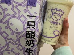 -一只酸奶牛(春熙路店)