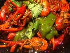 -红辣椒·川菜·火锅(张杨路店)