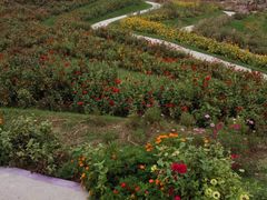 -南通洲际绿博园