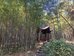 -游子山休闲旅游区