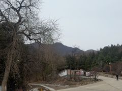-北京鹫峰国家森林公园