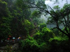 -鼎湖山风景区