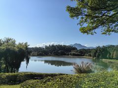 -福建鲤鱼洲酒店