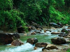 -广州白江湖森林公园