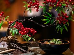 -魔厨私房菜(观音桥店)