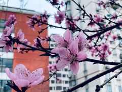 -黄兴公园
