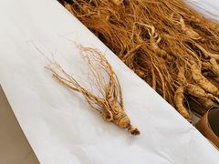 -金达莱冷面百年石锅饭(宾馆胡同店)