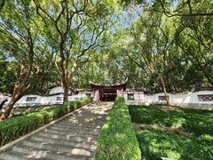 -上海佘山国家森林公园天马山园