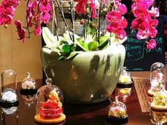 -丽致餐厅(美豪丽致店)