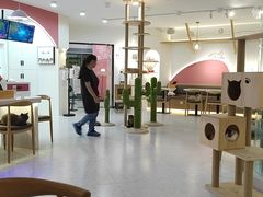 -喵园·猫主题咖啡厅·撸猫·猫咖(国贸店)